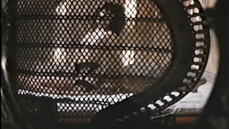 Backdrop image for movie Groper Train: Start at the Back