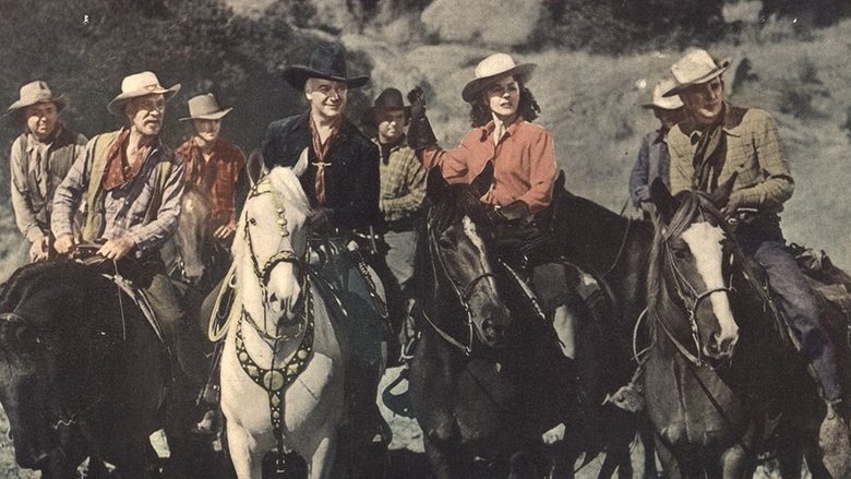 Backdrop image for movie Mystery Man