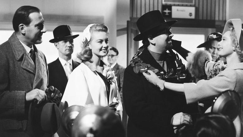 Backdrop image for movie The Lady is a Square