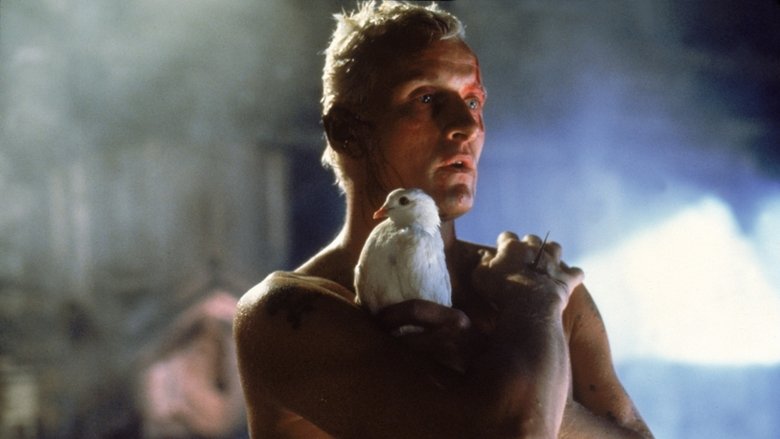 Backdrop image for movie The Blade Runner Phenomenon