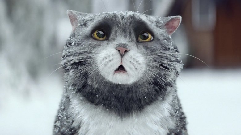 Backdrop image for movie Sainsbury's: Mog's Christmas Calamity