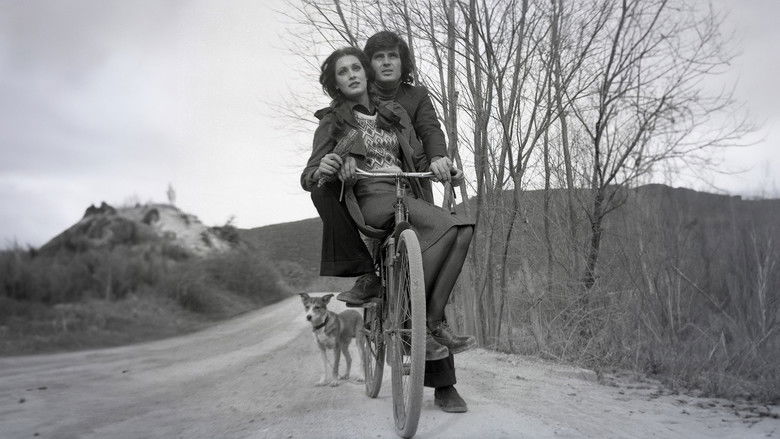 Backdrop image for movie Delisin