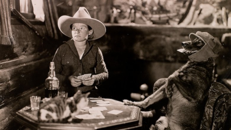 Backdrop image for movie The Hound of Silver Creek