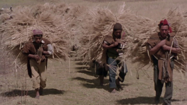 Backdrop image for movie Child of the Andes