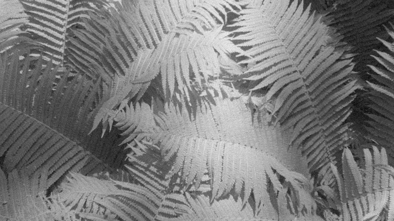 Backdrop image for movie Vibrant Matter