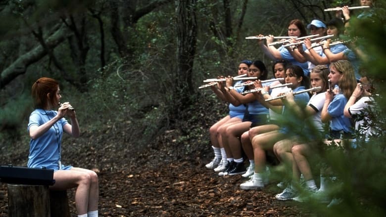 Backdrop image for movie American Pie 2