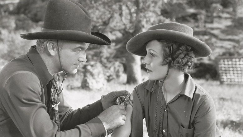 Backdrop image for movie Rustlers' Valley
