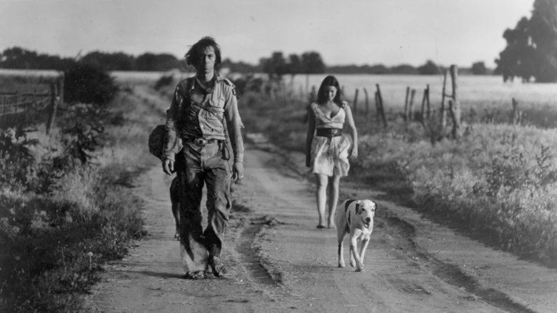 Backdrop image for movie Americana