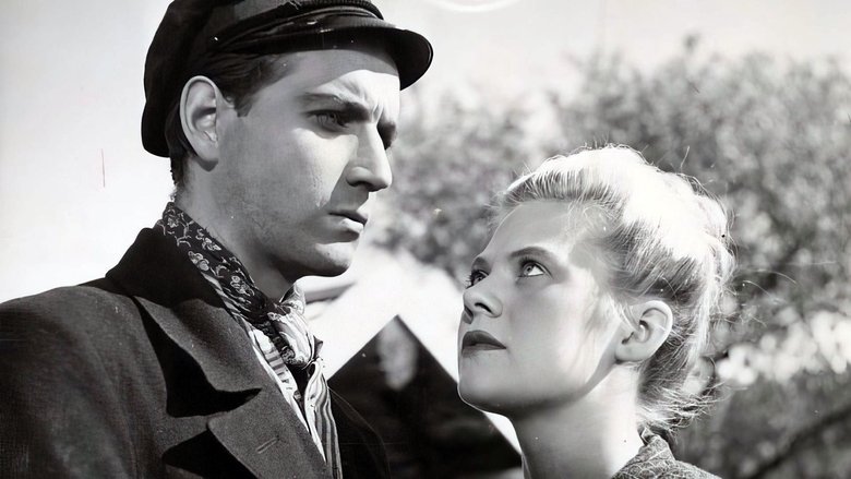 Backdrop image for movie Livet i finnskogarna