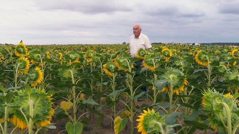 Backdrop image for movie Beau comme un tracteur