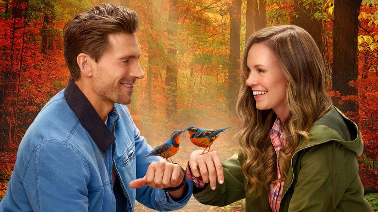 Backdrop image for movie Adventures in Love & Birding