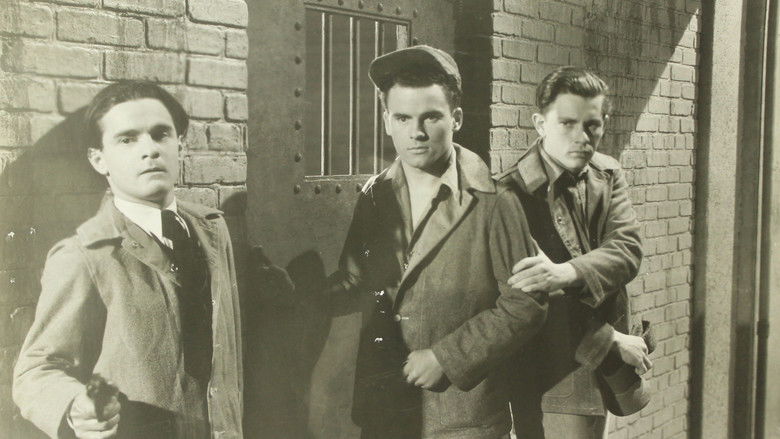 Backdrop image for movie Boys' Reformatory