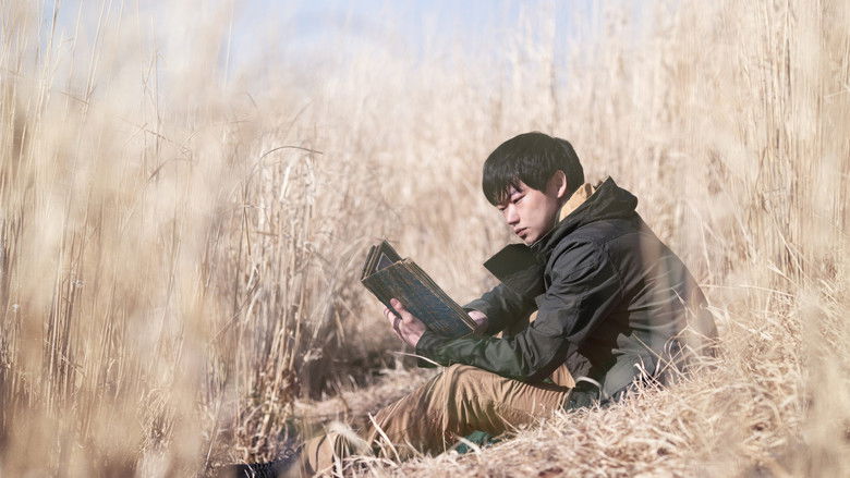 Backdrop image for movie Ring Wandering