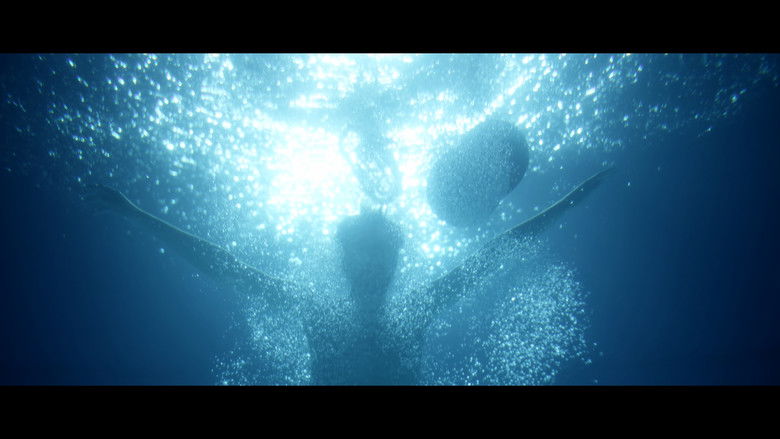 Backdrop image for movie Les Rêves du Plongeur