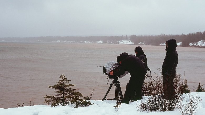 Backdrop image for movie Freshwater