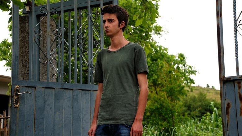 Backdrop image for movie The Forgiveness of Blood