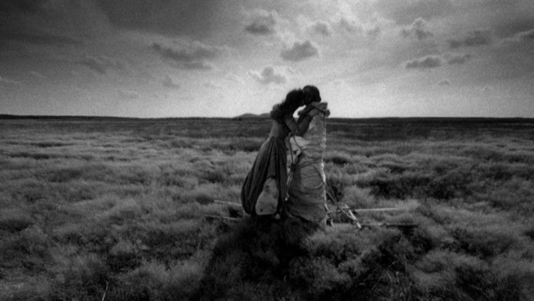 Backdrop image for movie Anchoress