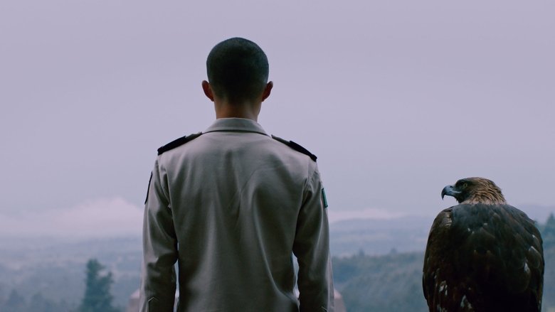 Backdrop image for movie Heroic