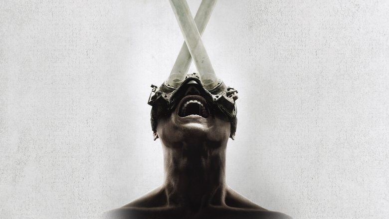 Backdrop image for movie Saw X