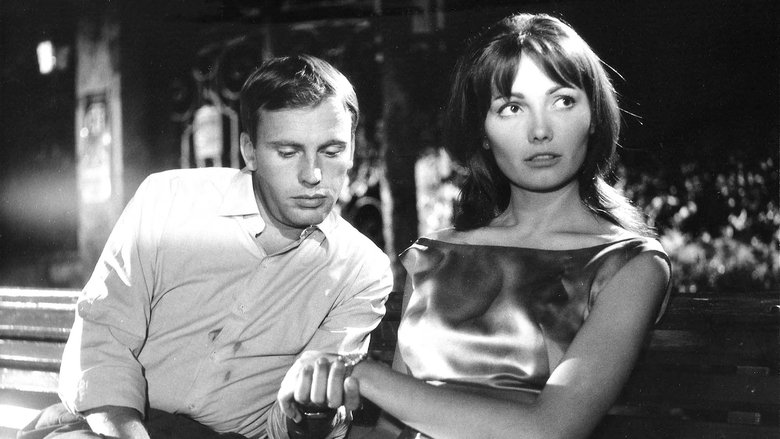 Backdrop image for movie Il Sorpasso