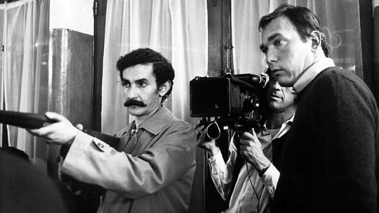 Backdrop image for movie Zinet, Algiers, Happiness