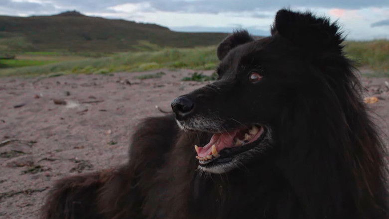 Backdrop image for movie Nellie