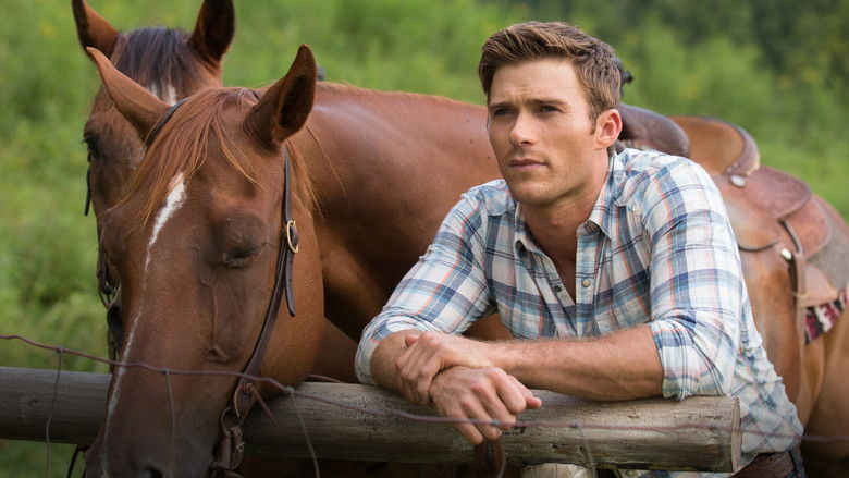 Backdrop image for movie The Longest Ride
