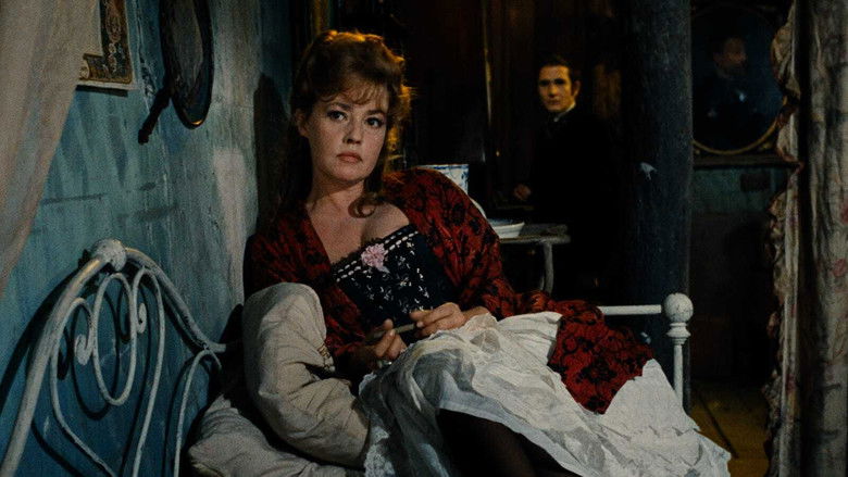 Backdrop image for movie The Immortal Story