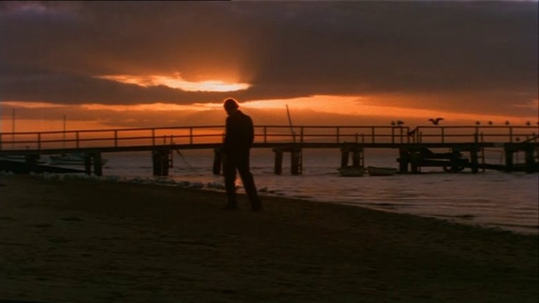 Backdrop image for movie Summerfield