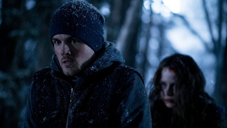 Backdrop image for movie Witches in the Woods
