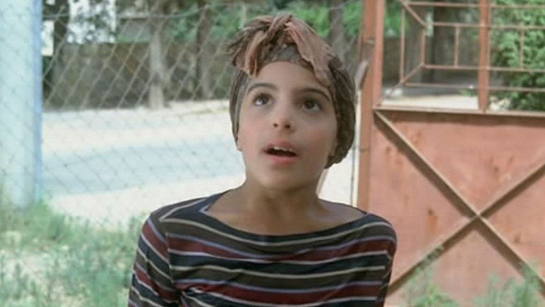 Backdrop image for movie Aviya's Summer