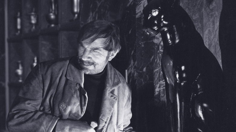 Backdrop image for movie The Black Cat