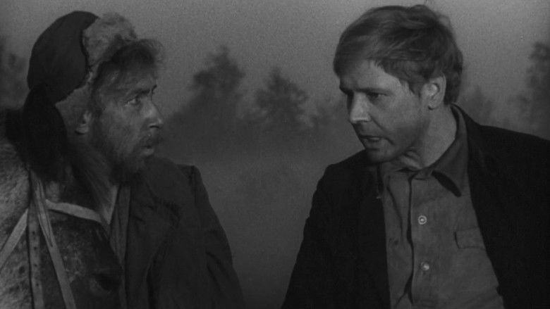 Backdrop image for movie Wolves Pack