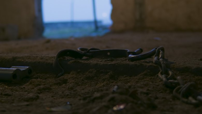 Backdrop image for movie Inner Odyssey