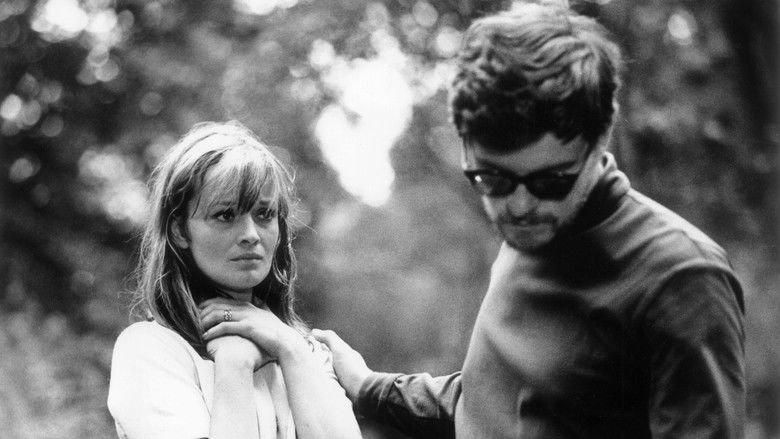 Backdrop image for movie The Return of the Prodigal Son