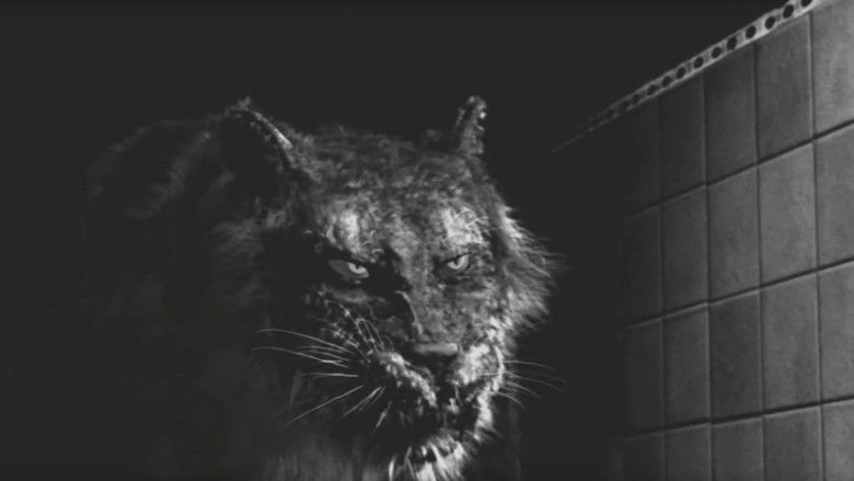 Backdrop image for movie Tyger