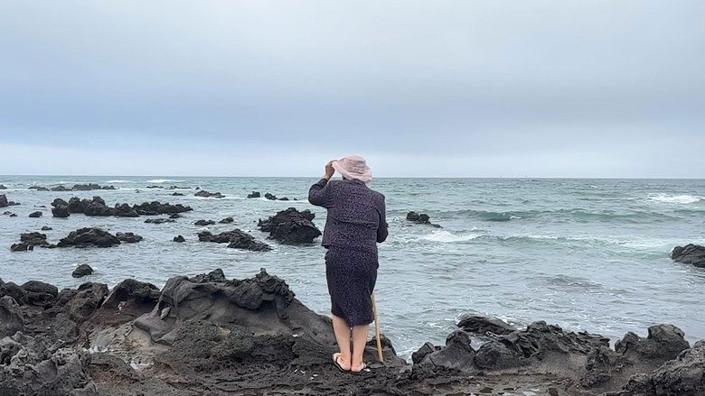 Backdrop image for movie Memories Showers Seas