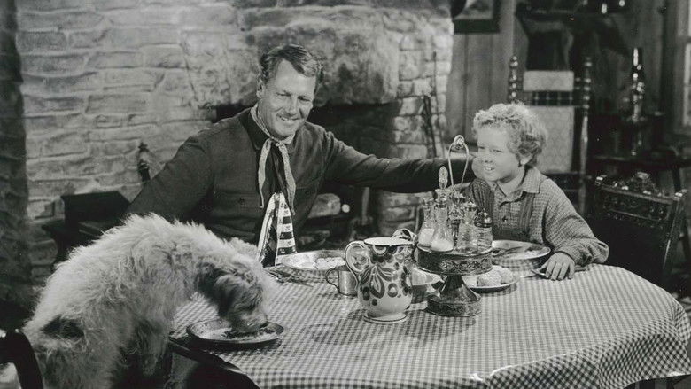 Backdrop image for movie The Lone Hand