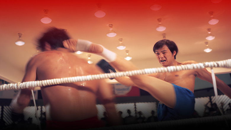 Backdrop image for movie Duel of Fists