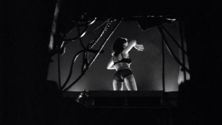 Backdrop image for movie The Touch of Her Flesh