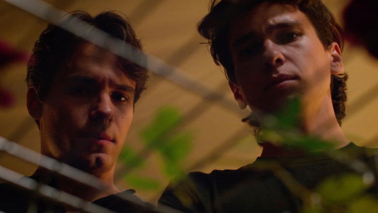 Backdrop image for movie Twice As Shy