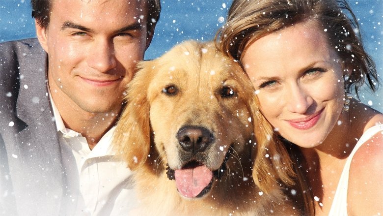 Backdrop image for movie A Golden Christmas 3