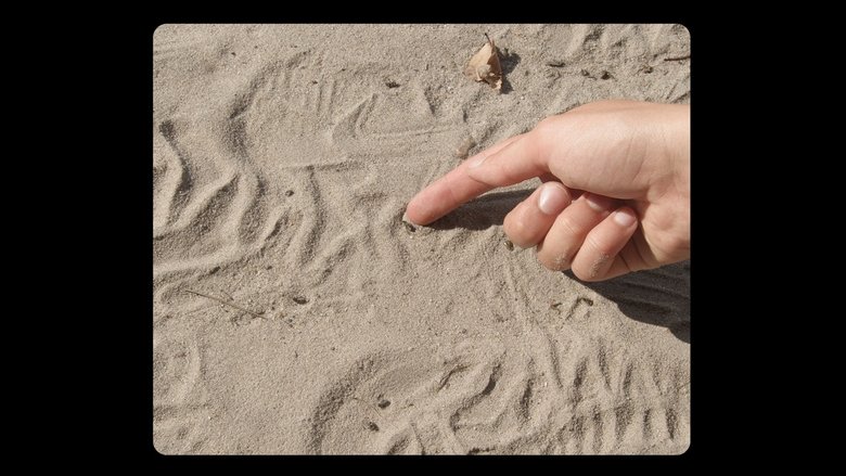 Backdrop image for movie Over het Wildrooster
