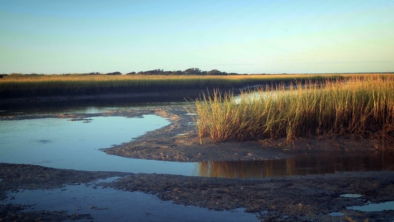 Backdrop image for movie Tides