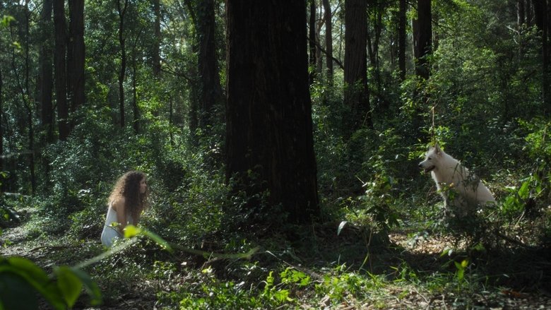 Backdrop image for movie All Silent Dogs