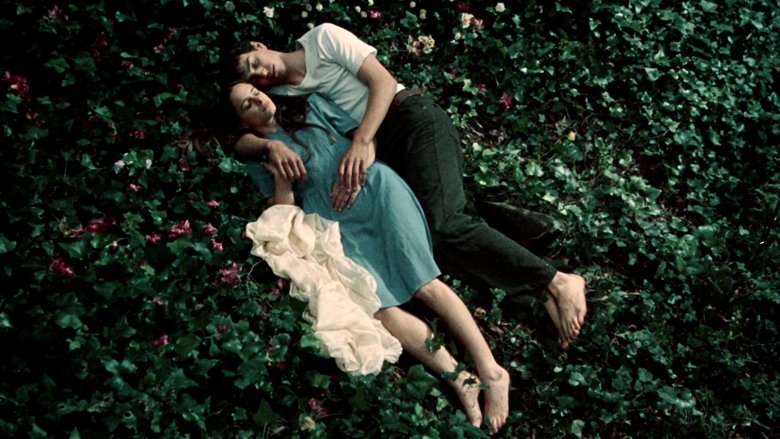 Backdrop image for movie Fragile as the World