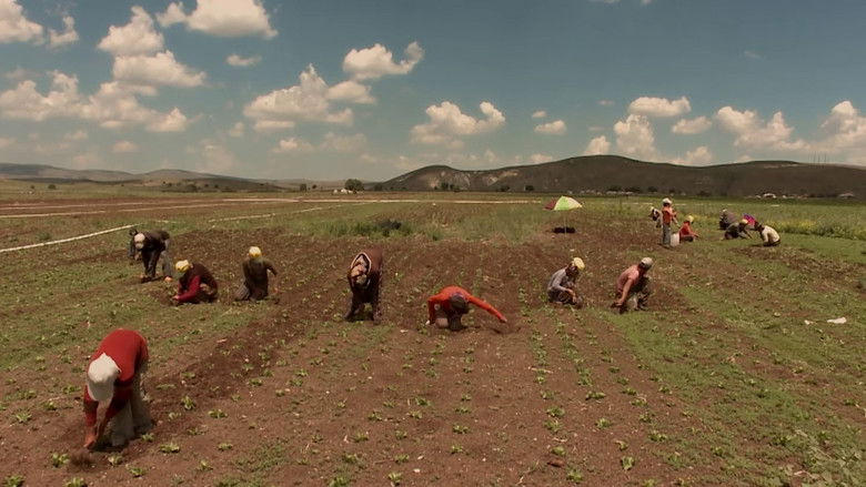 Backdrop image for movie Once Upon a Time