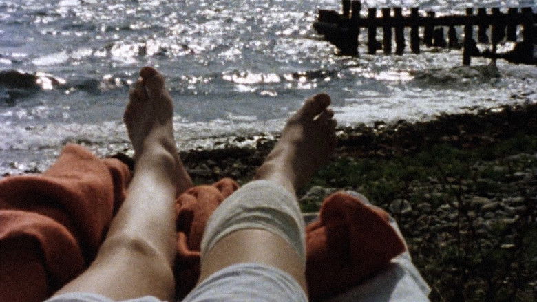 Backdrop image for movie Black Pete – No, You're It