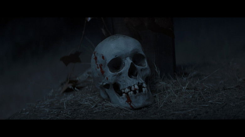 Backdrop image for movie The Christ of the Skull