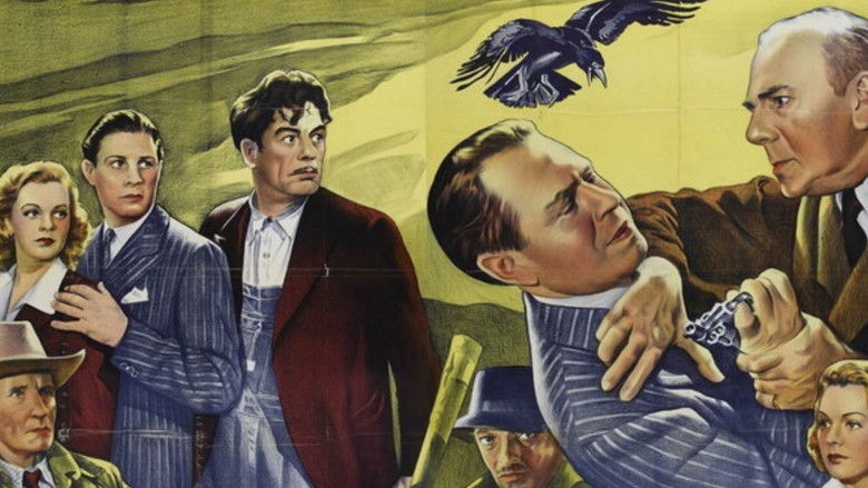 Backdrop image for movie The Black Raven